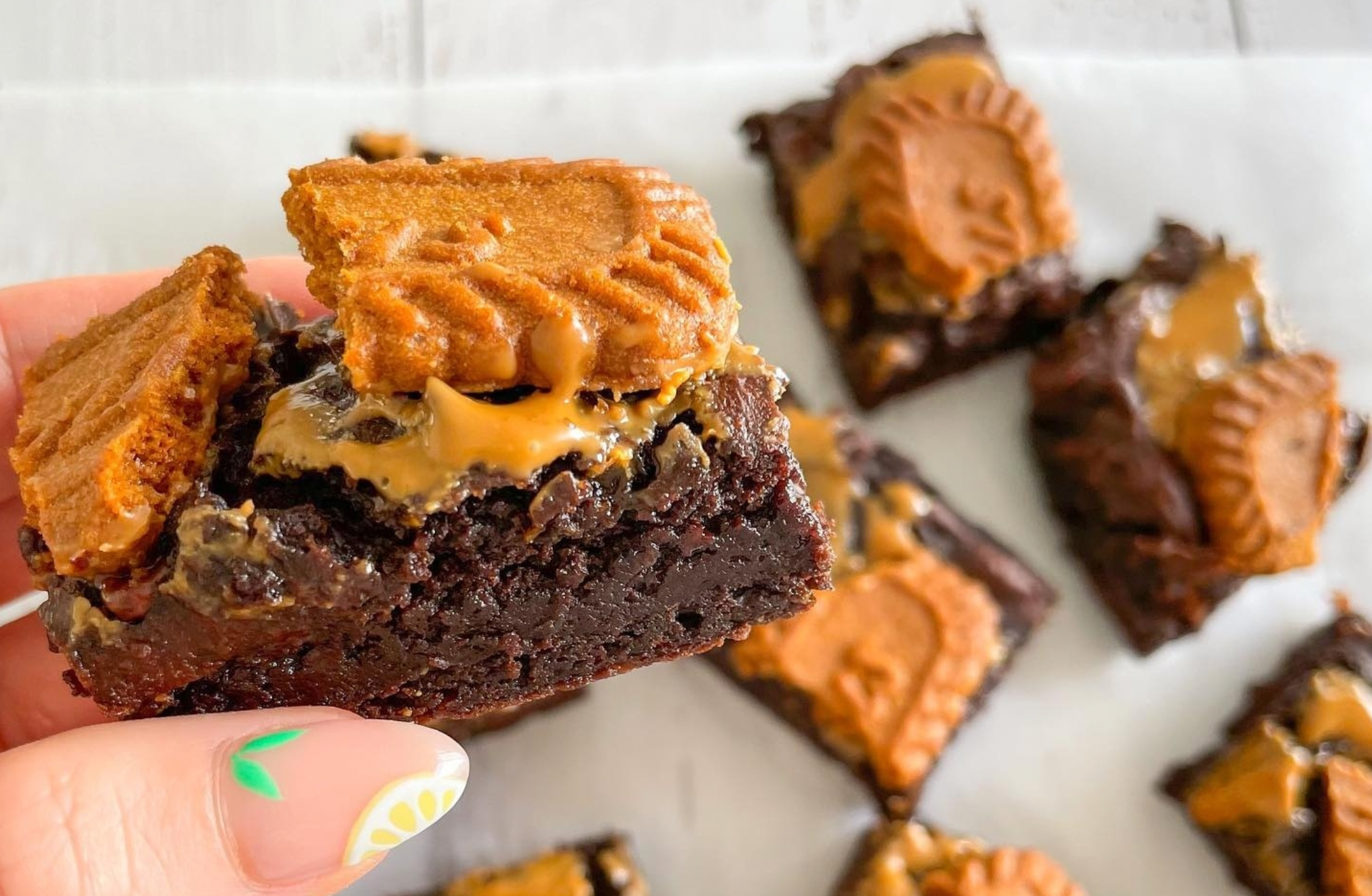 DOUBLE CHOC BISCOFF BROWNIES