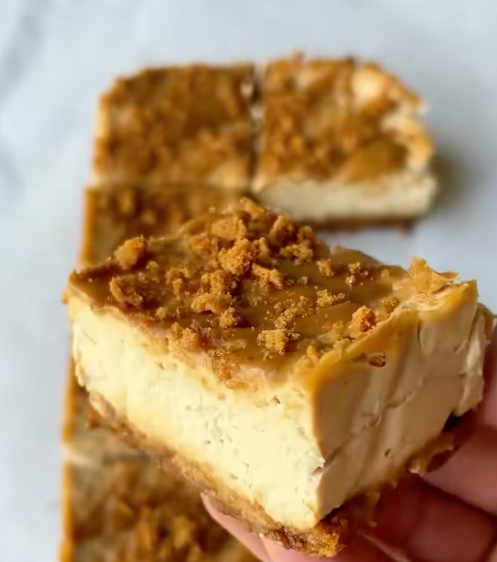 No-Bake Tofu Cheesecake