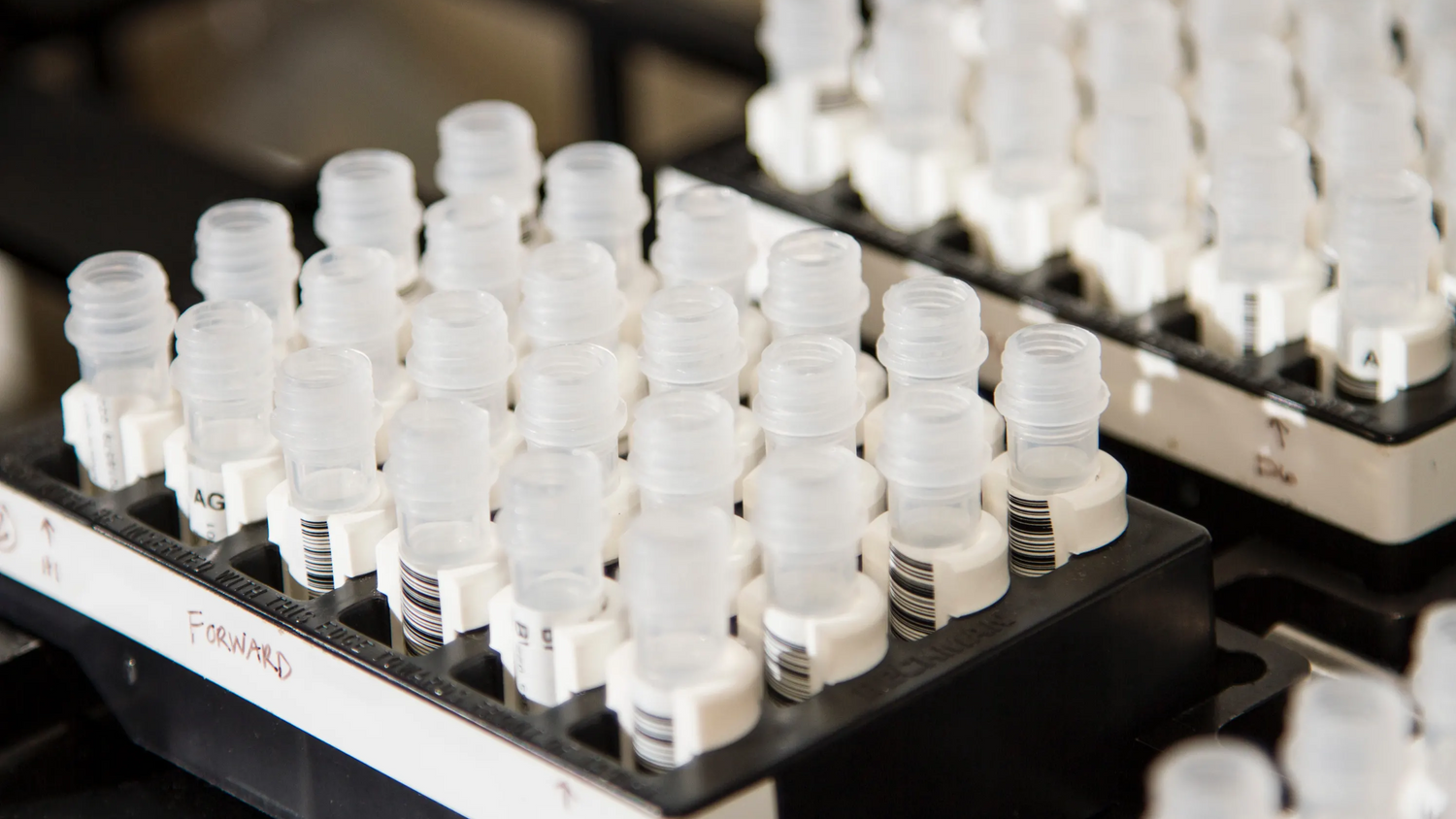 What you need to know about Banned Substances