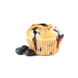 Blueberry White Choc Protein Muffin Mix (250g)