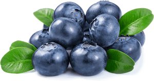 Blueberry Fizz Caffeine Free Pre-Workout (300g)
