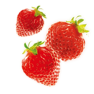 Strawberry Lychee Plant Amino Acid Powder (300g)
